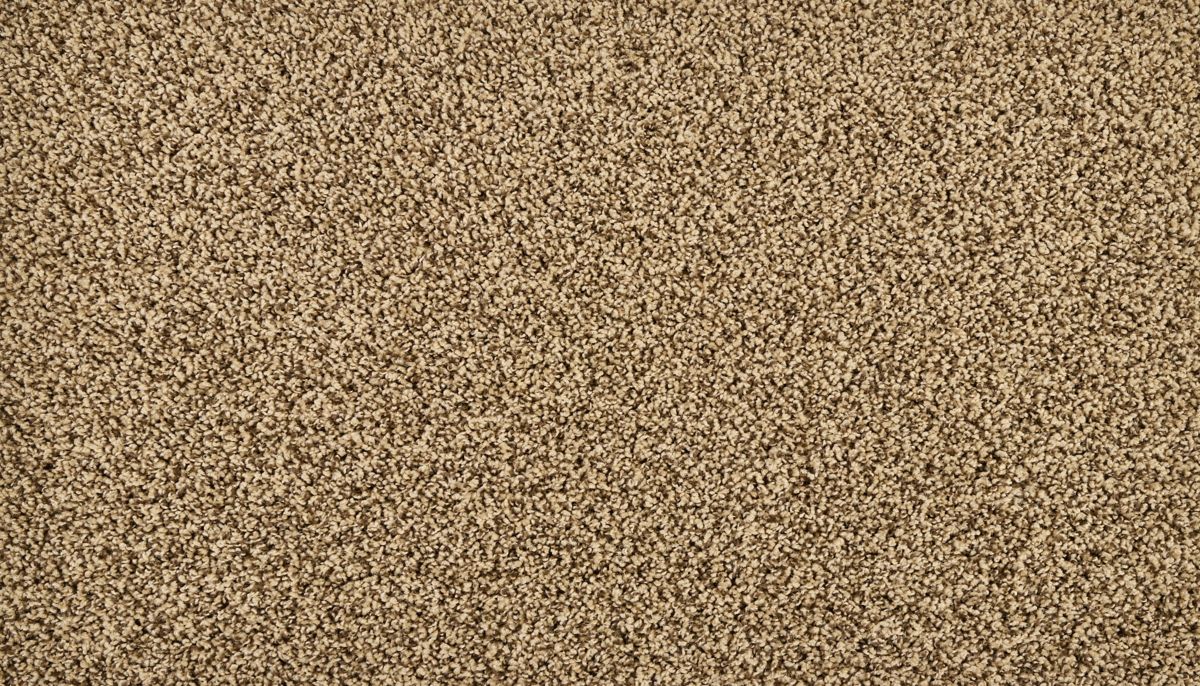 Sleek Tones carpet in Mocha Brown