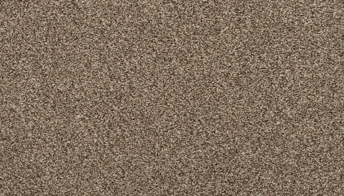 Revive carpet in Shimmer Ash