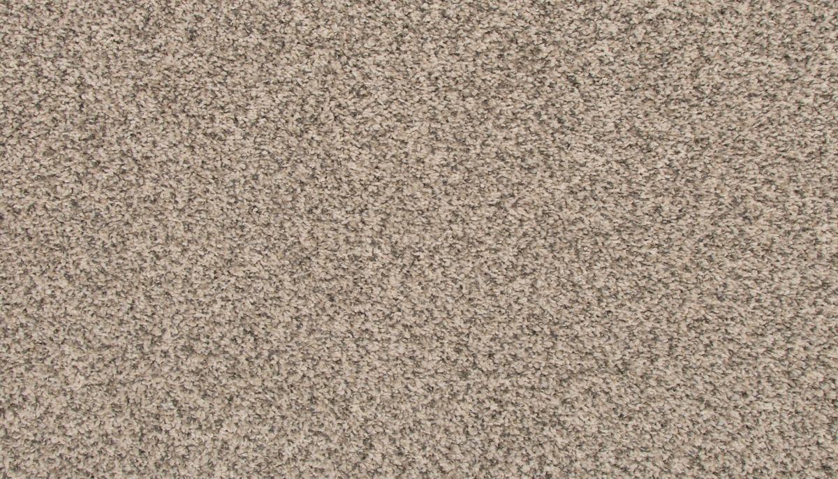 Revive carpet in Silver Dollar