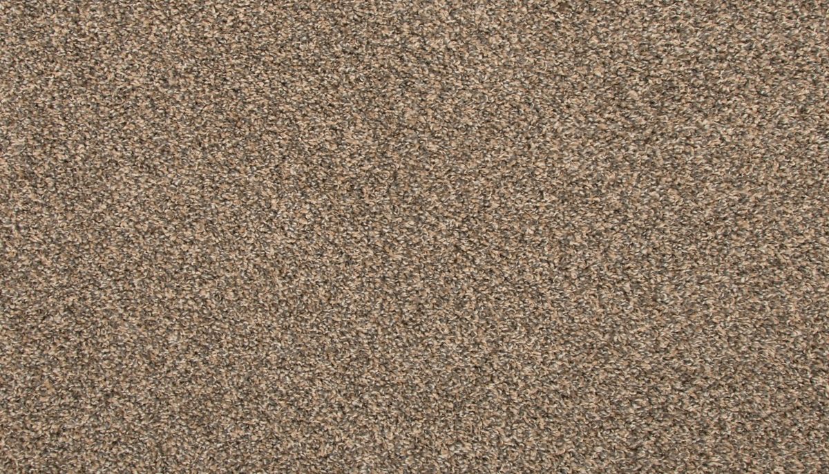 Revive carpet in Flannel