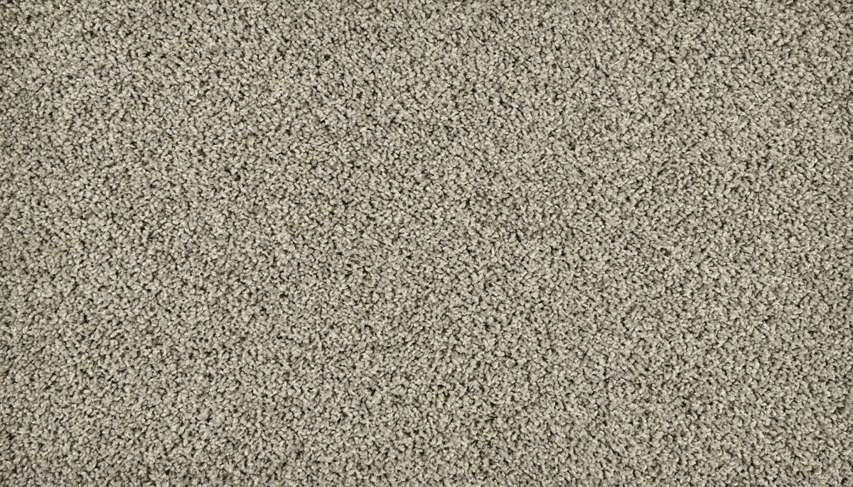 Sleek Tones carpet in Shipwreck