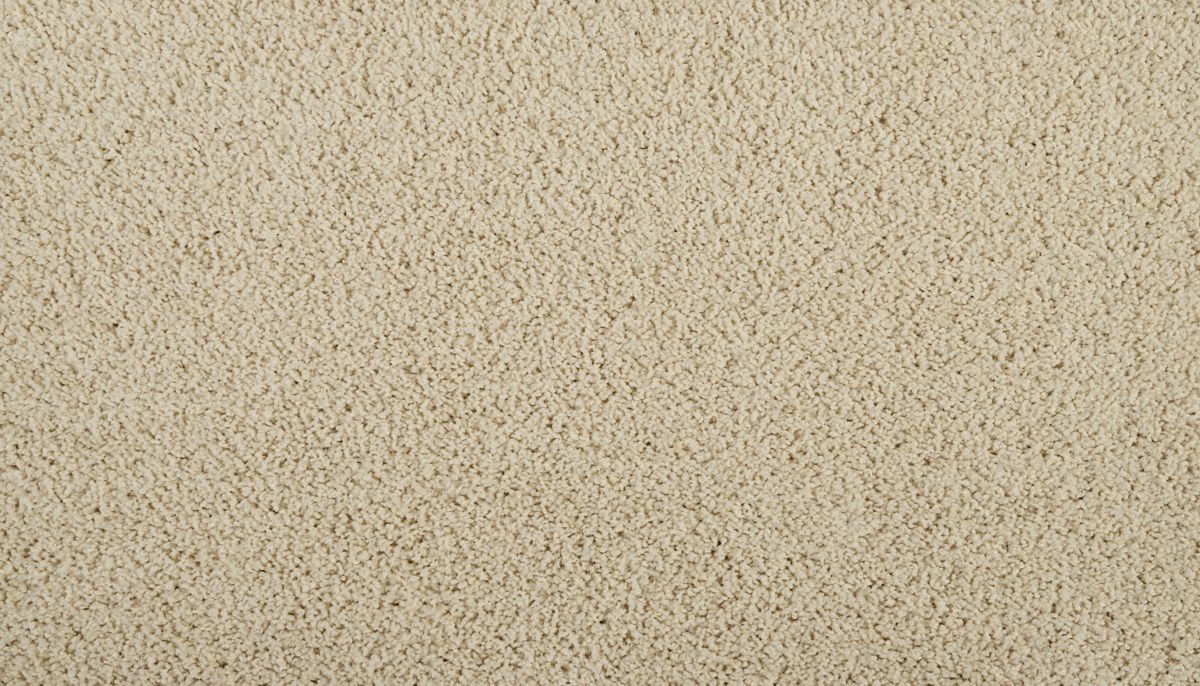 Sleek Tones carpet in Bare Essence