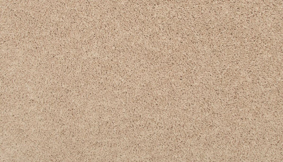 Revive carpet in Rice Cake