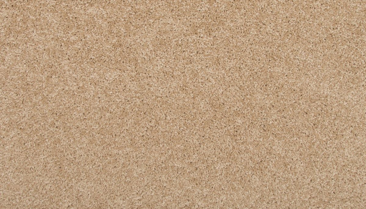 Revive carpet in Sugar Cookie
