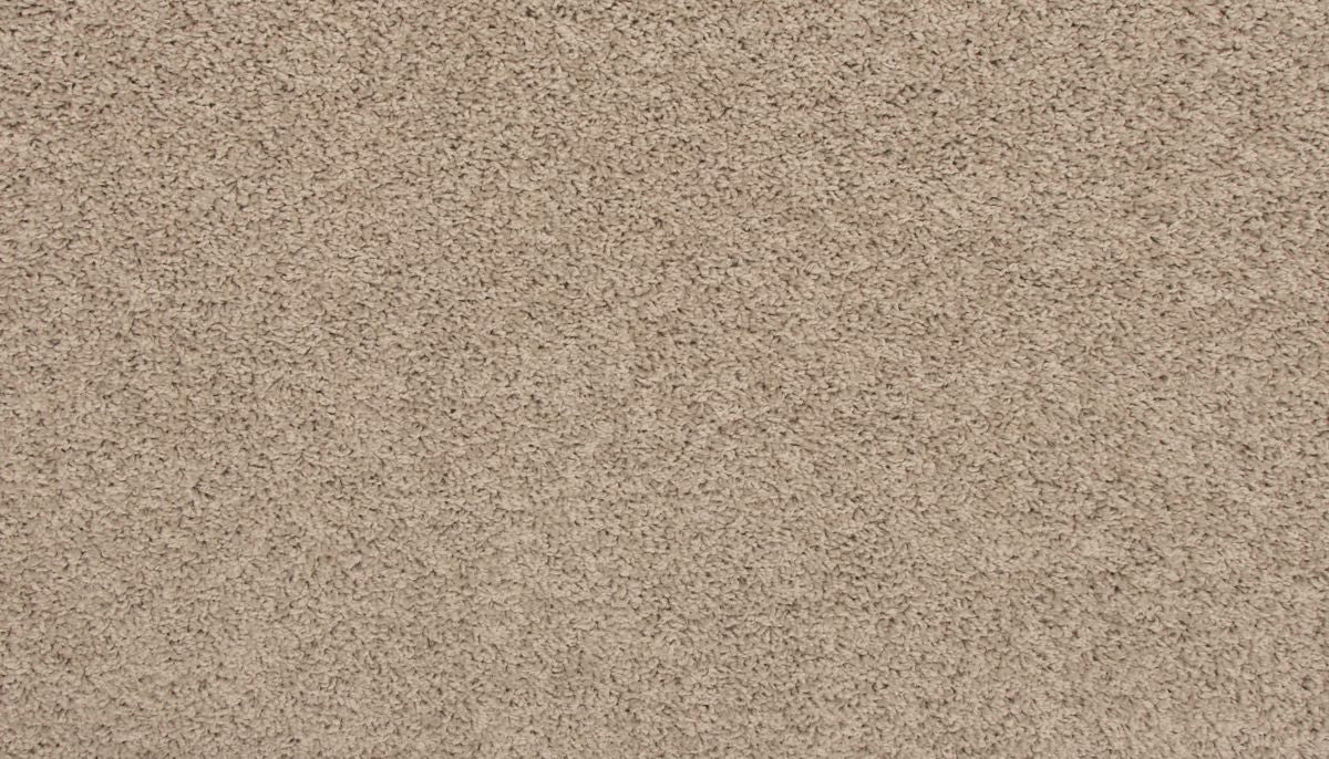 Revive carpet in Birdbath