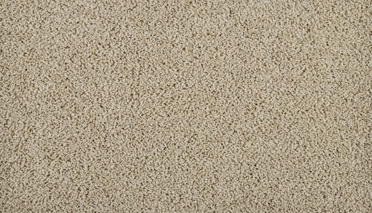 Sleek Tones carpet in Island Taupe