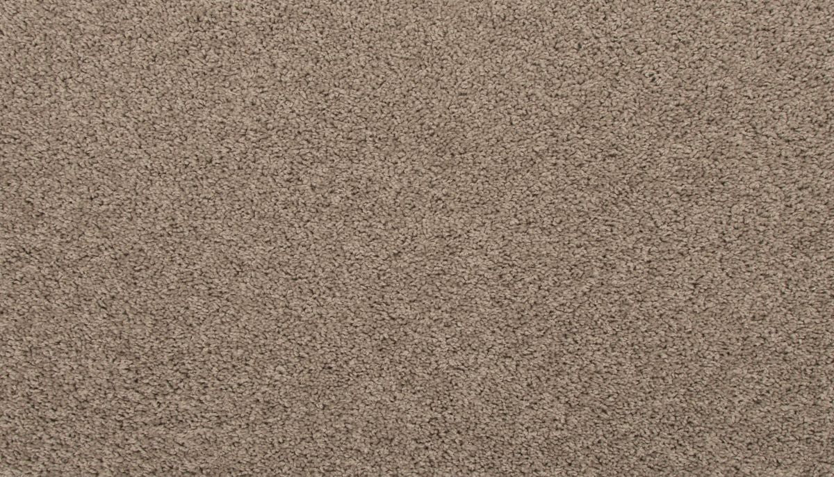Revive carpet in Dock