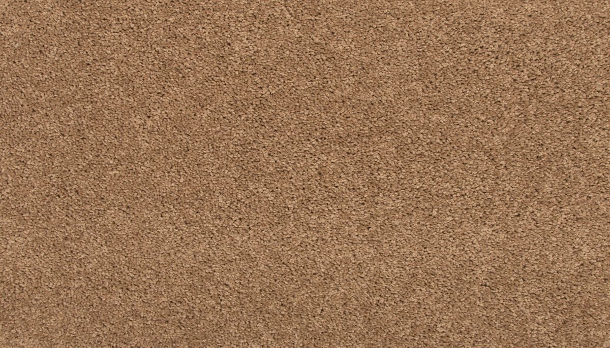 Revive carpet in Fowler