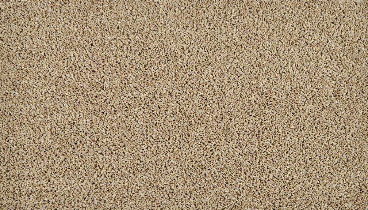 Sleek Tones carpet in Safari Tan