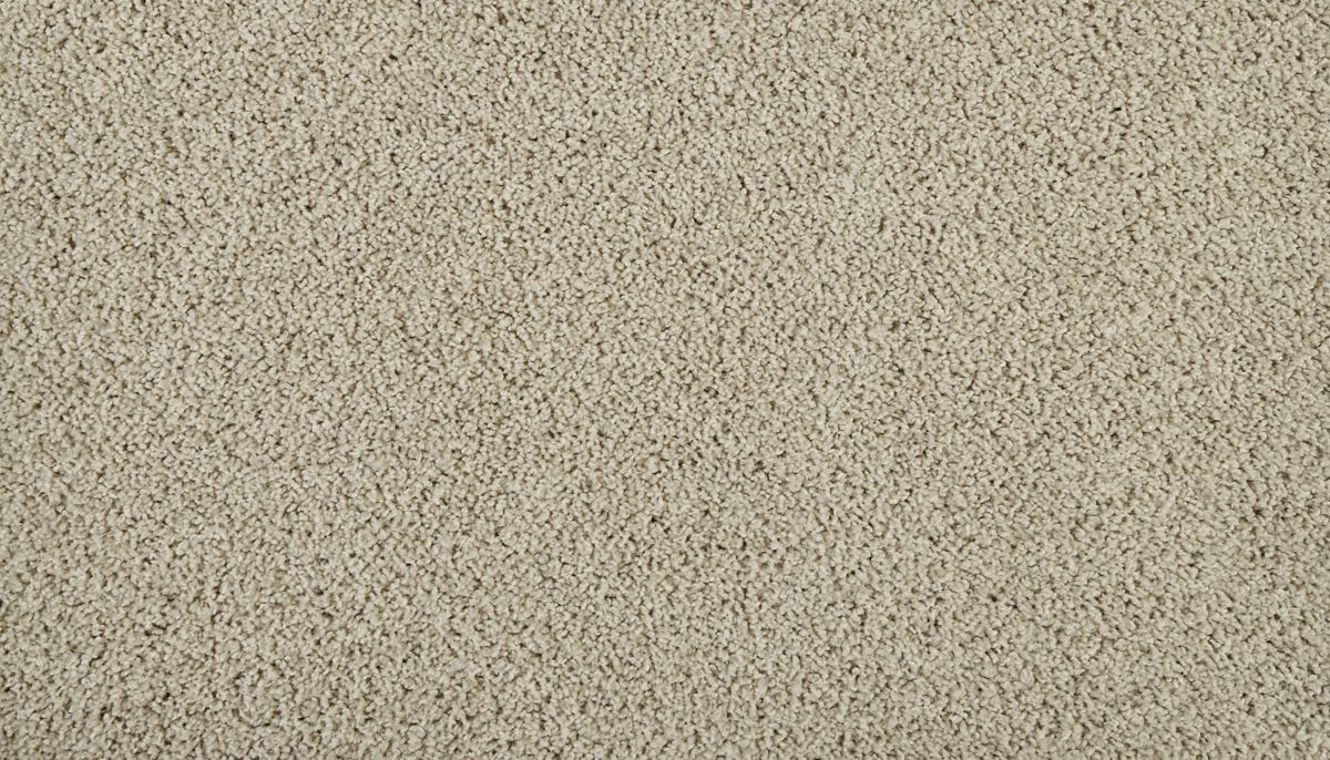 Sleek Tones carpet in Tradewinds