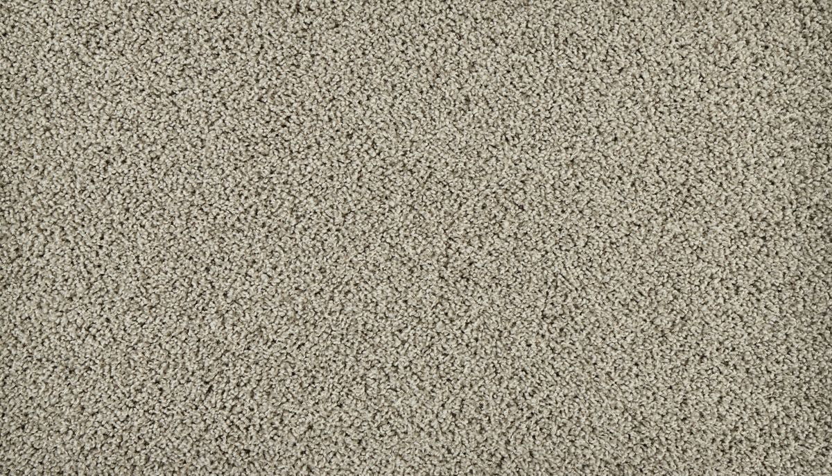 Sleek Tones carpet in Cumulus