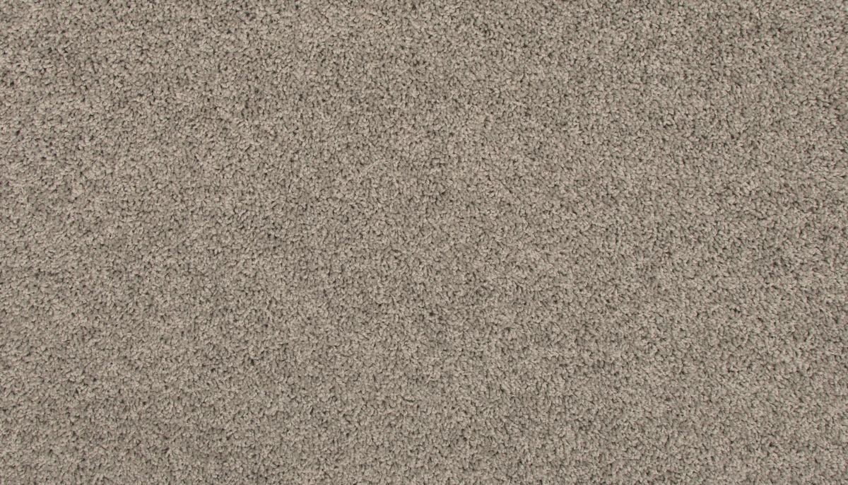 Revive carpet in Winter Ash