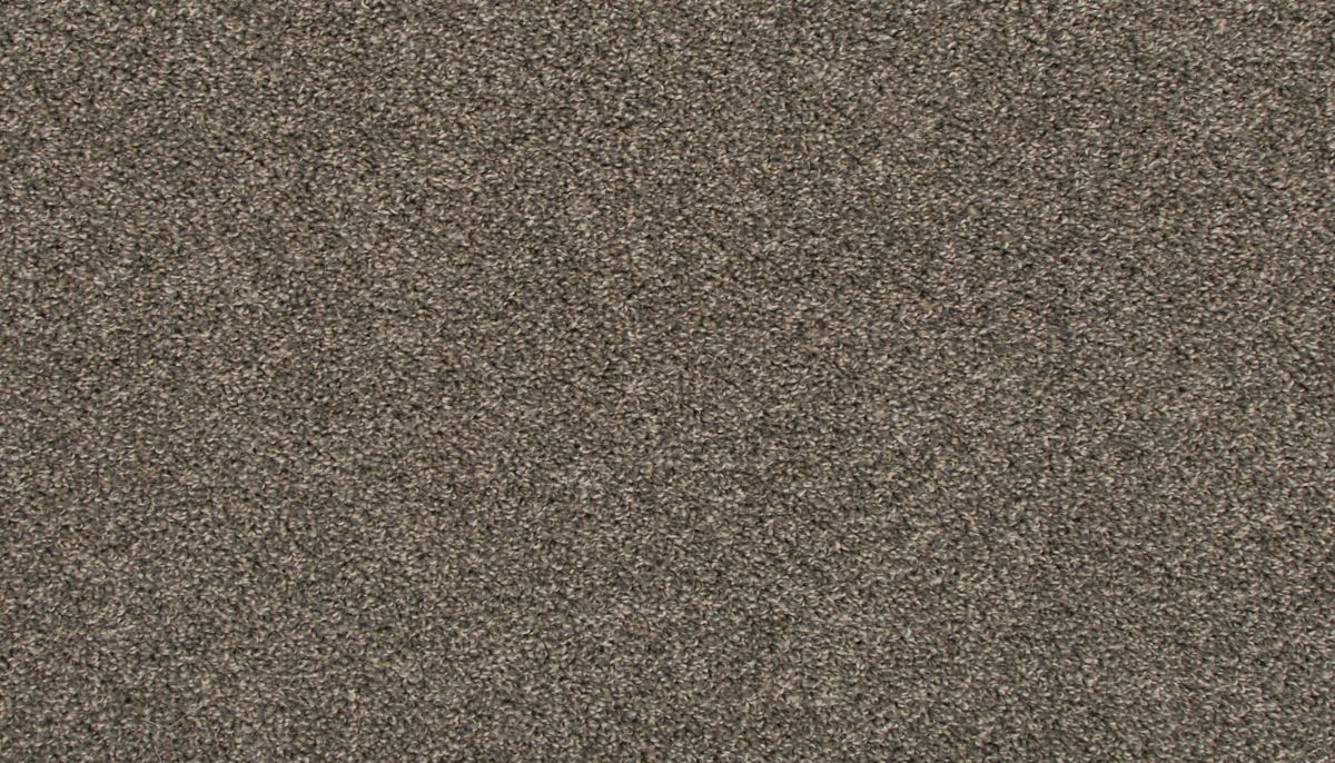 Revive carpet in Steelbeam