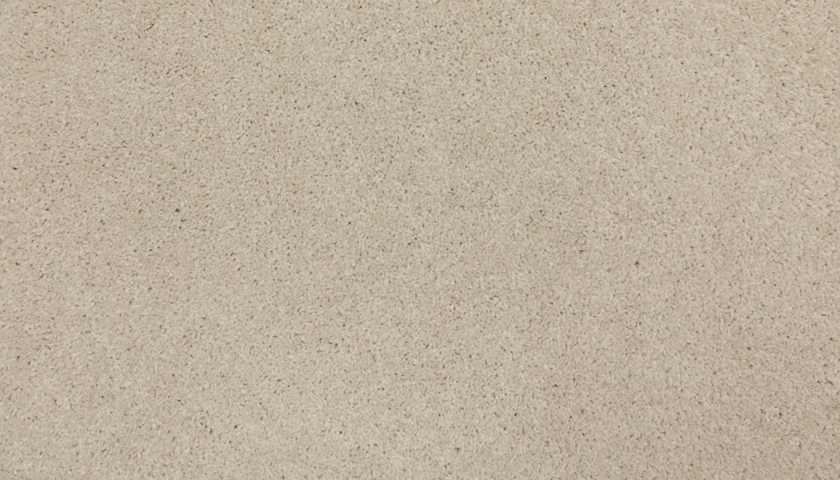 Up The Ante carpet in Antique White