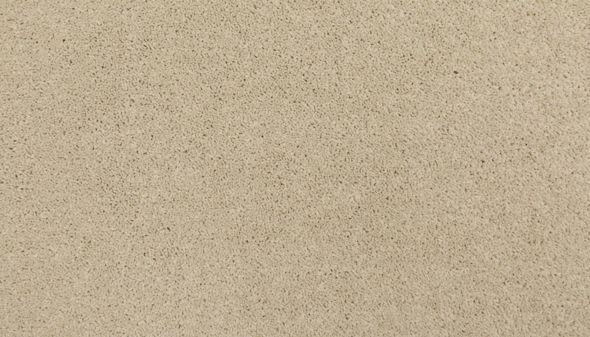 Up The Ante carpet in Bare Essence
