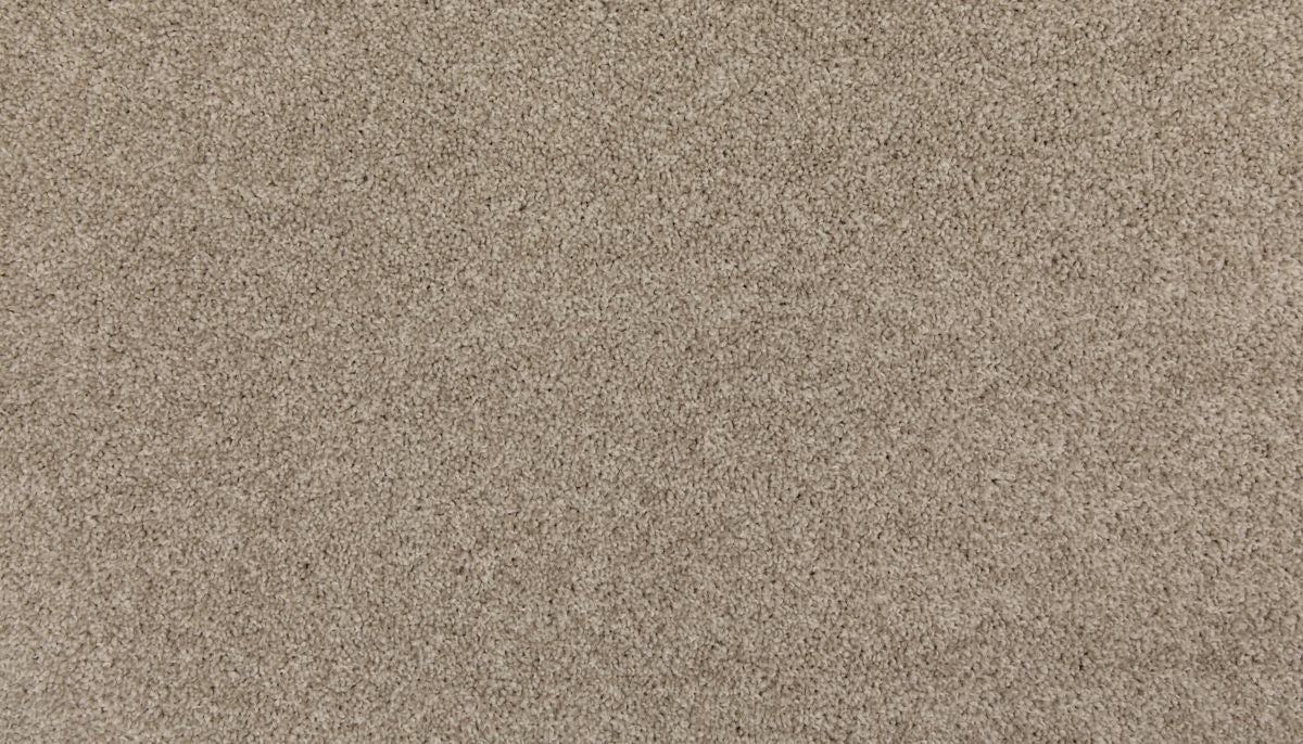 Up The Ante carpet in Island Taupe
