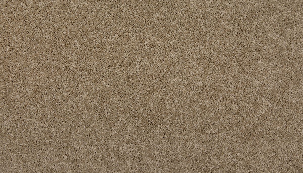 Up The Ante carpet in Safari Tan