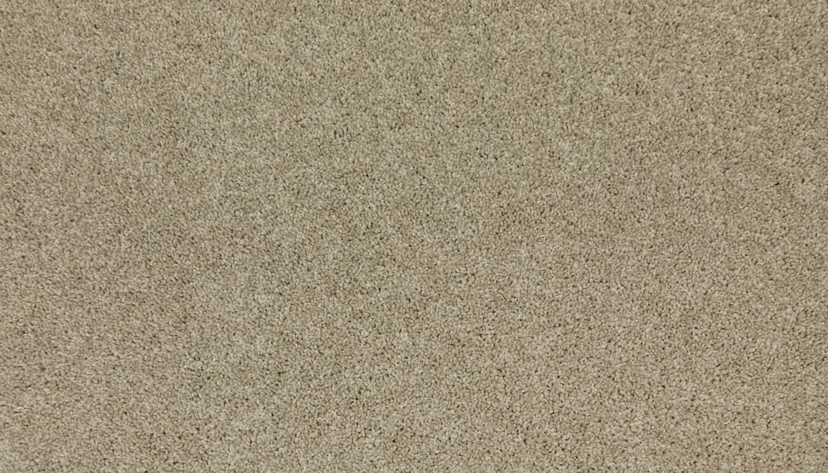 King Of Hearts carpet in Tradewinds