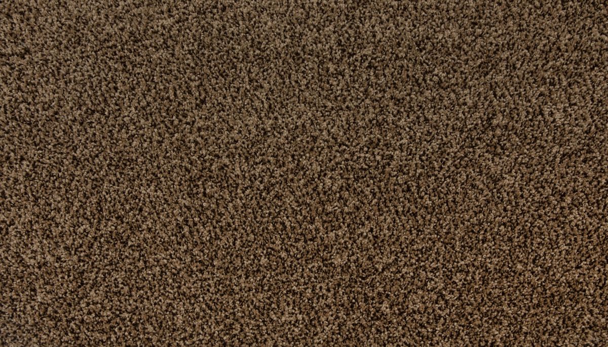 Up The Ante carpet in Mocha Brown