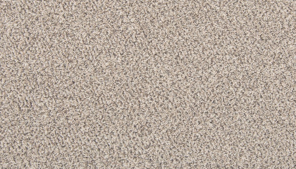 Tectonic carpet in Silver Dollar