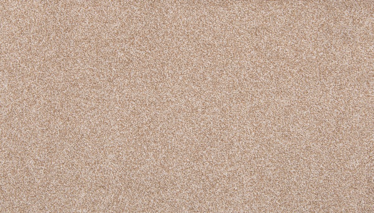Dynamic Quality I carpet in Walnut Sage