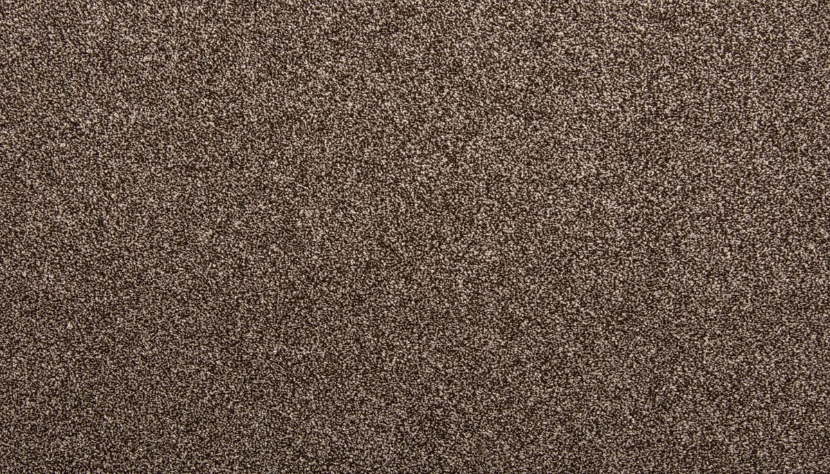 Dynamic Quality I carpet in Melted Chocolate