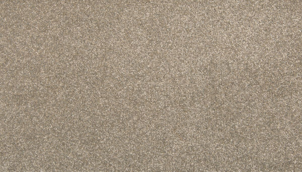 Positive View I carpet in Iorn Clad