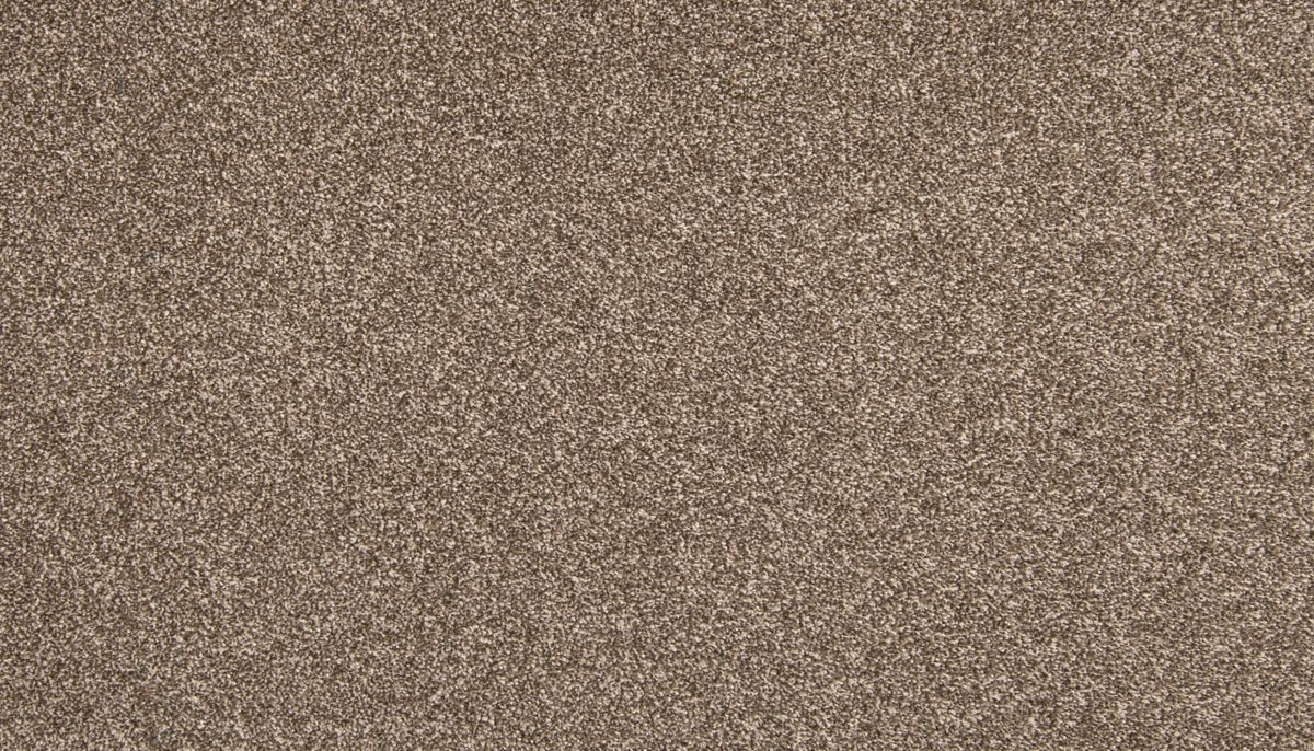 Dynamic Quality II carpet in Filigree