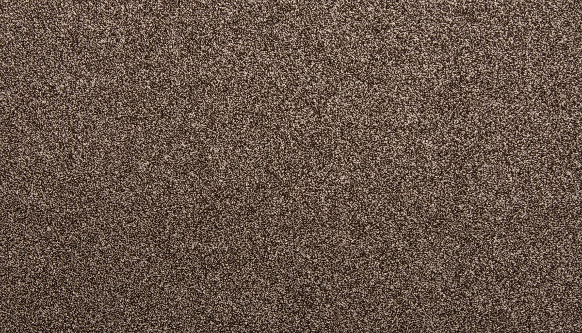 Dynamic Quality II carpet in Melted Chocolate