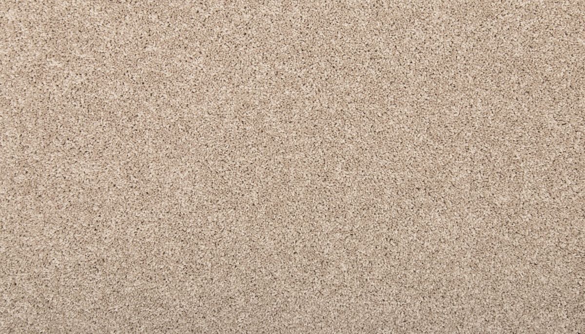 Vitalize I carpet in Stony Glade