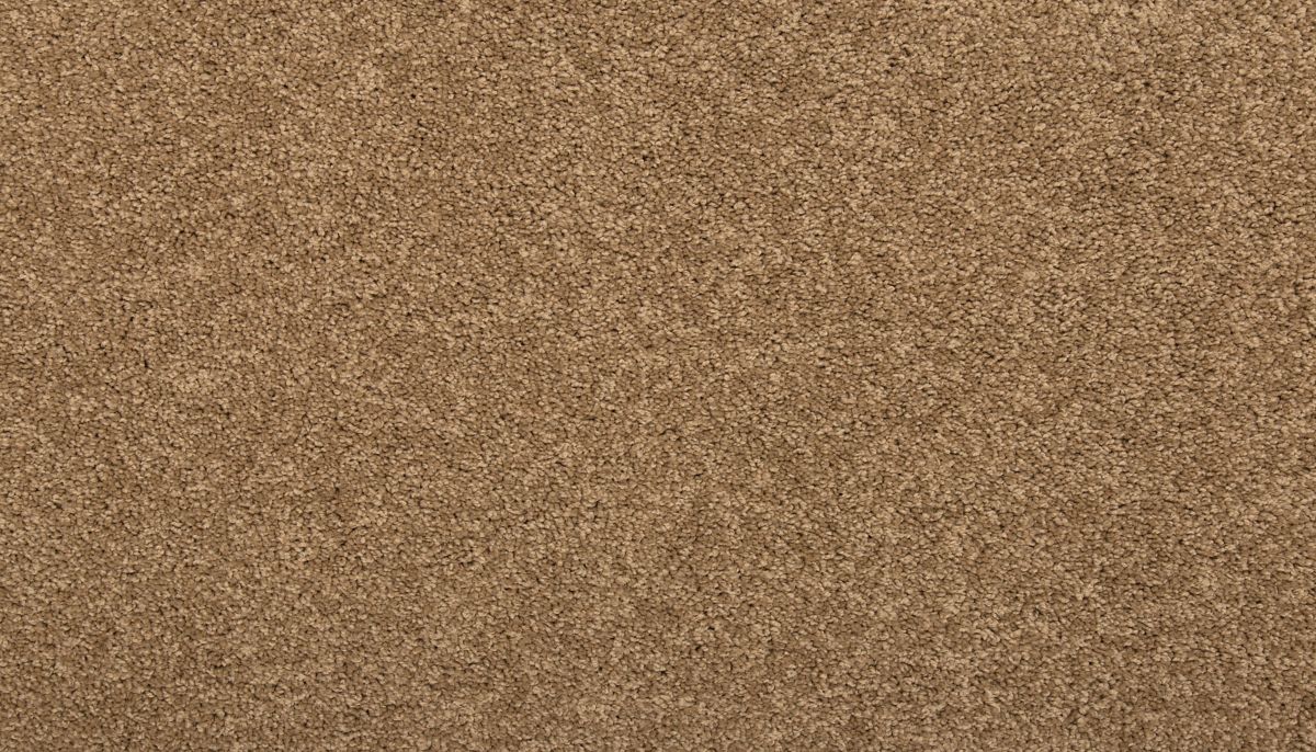 Terrain I carpet in Dock