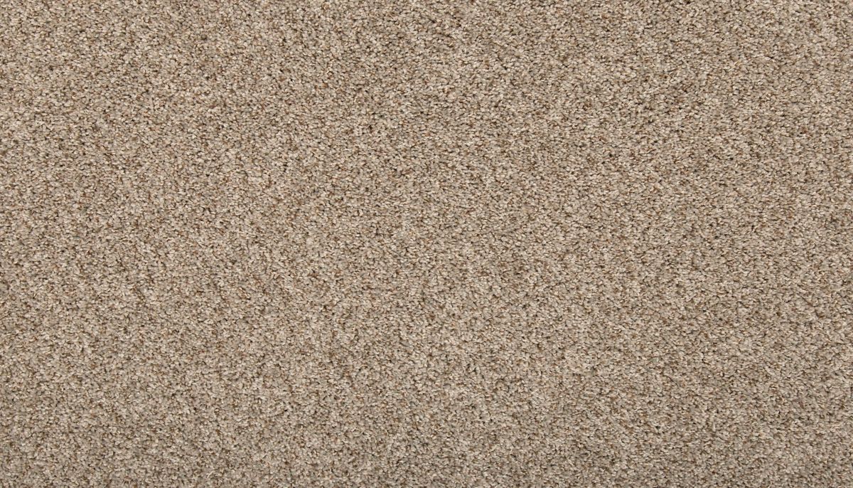 Vitalize I carpet in Century Blush