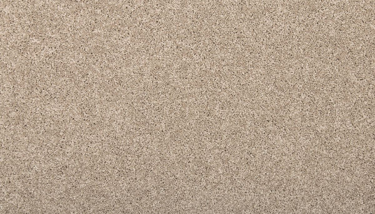 Vitalize II carpet in Stony Glade