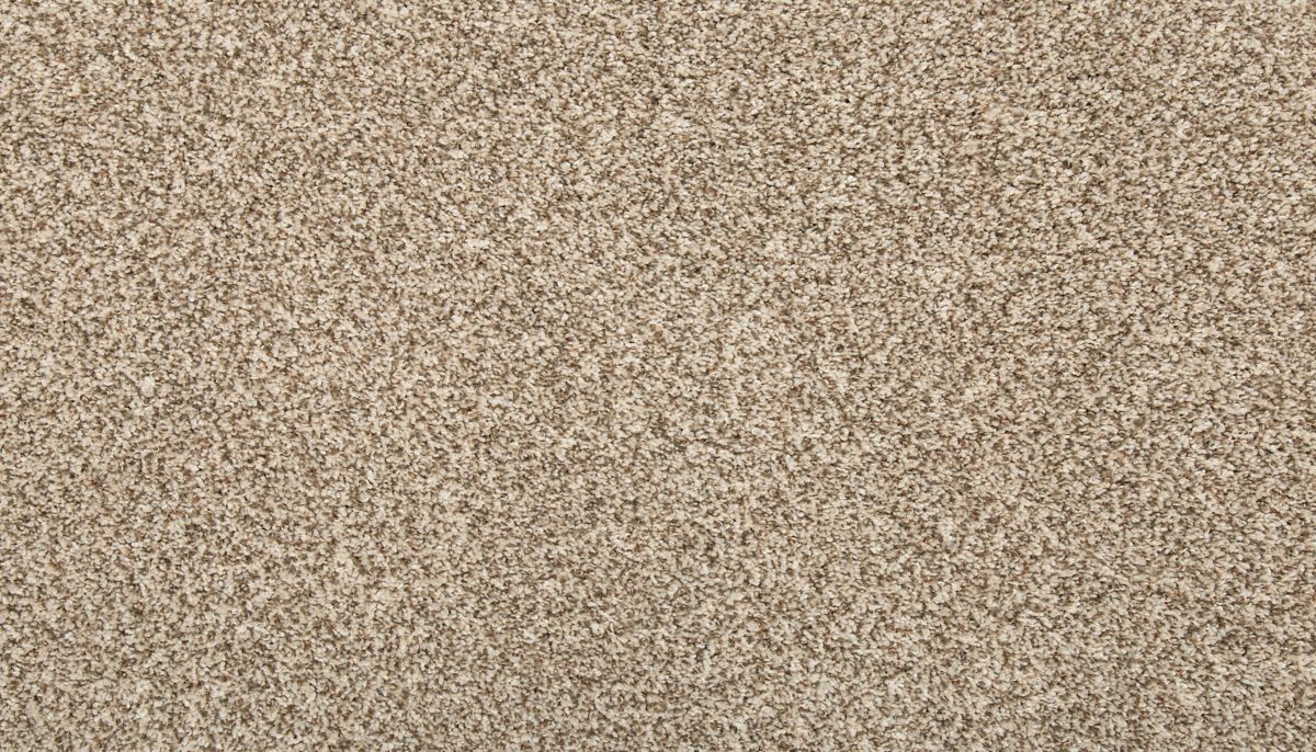 Vitalize II carpet in Elk Beige