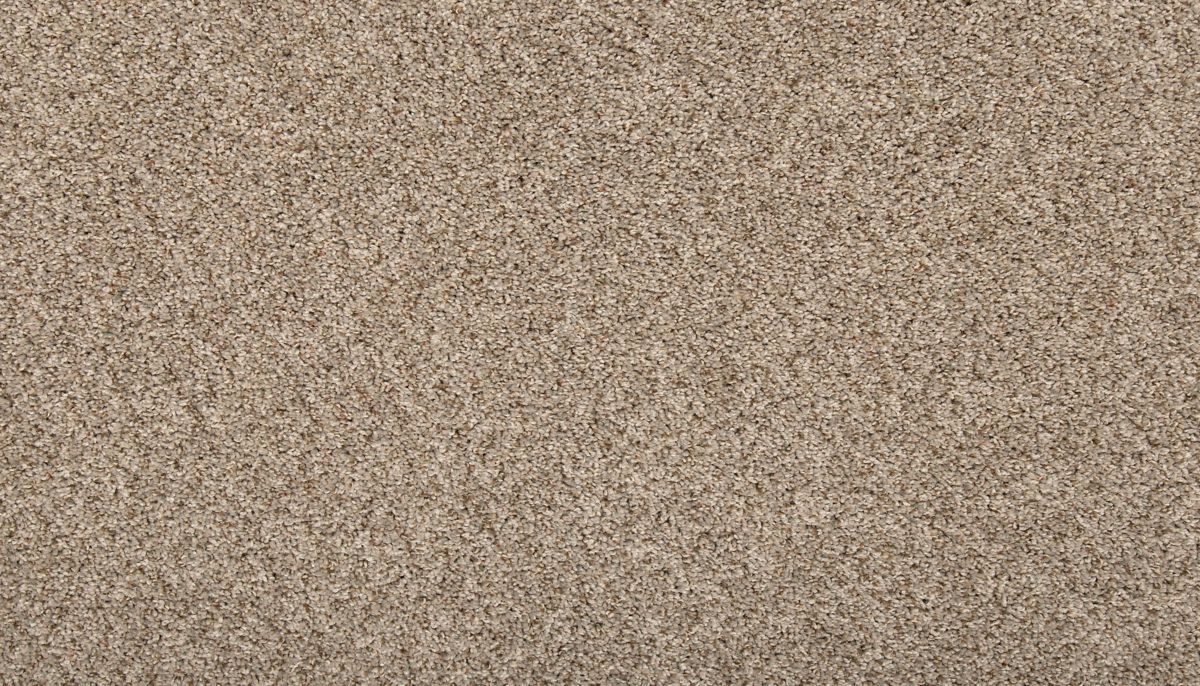 Vitalize II carpet in Century Blush