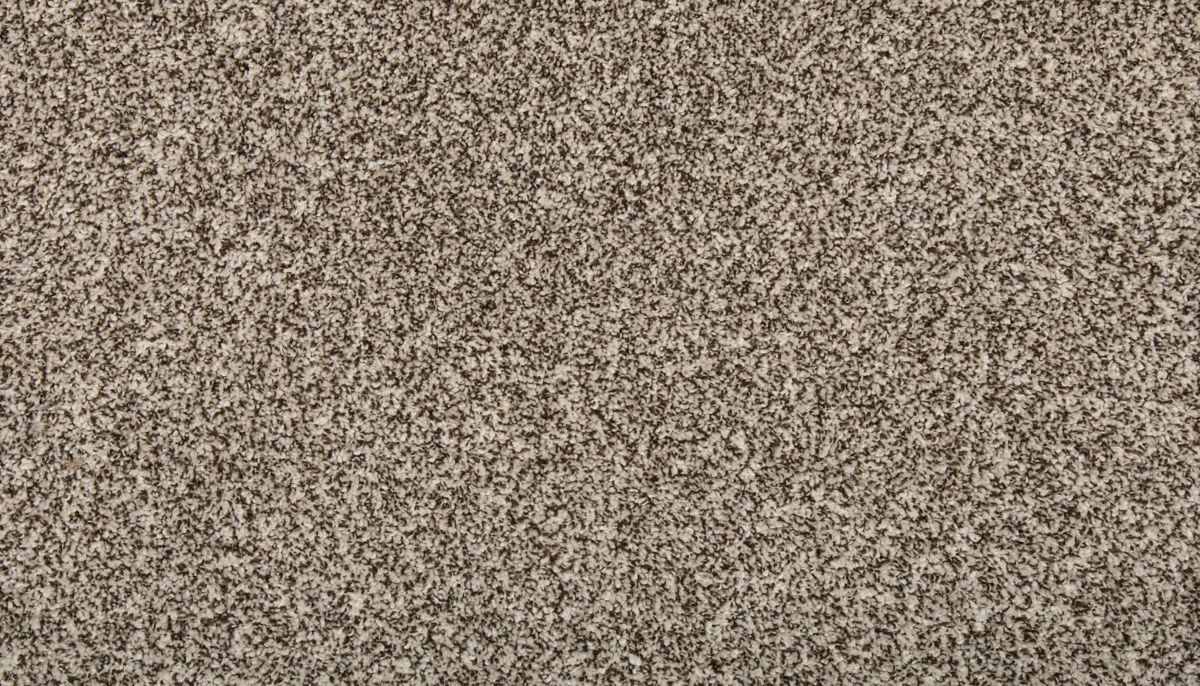 Renovate I carpet in Quiet Light