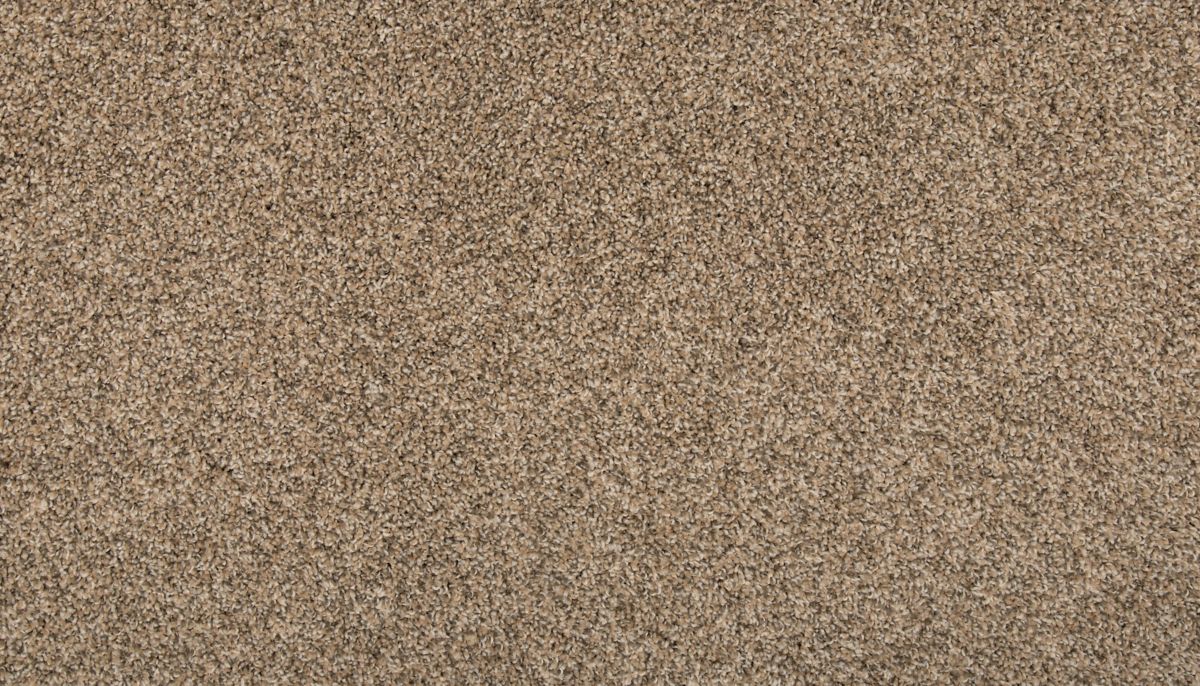 Renovate I carpet in Flax Seed