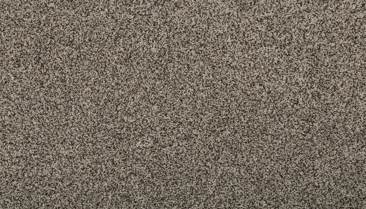 Renovate I carpet in Mercury Shadows