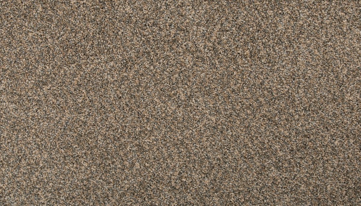 Remodeled I carpet in Flannel
