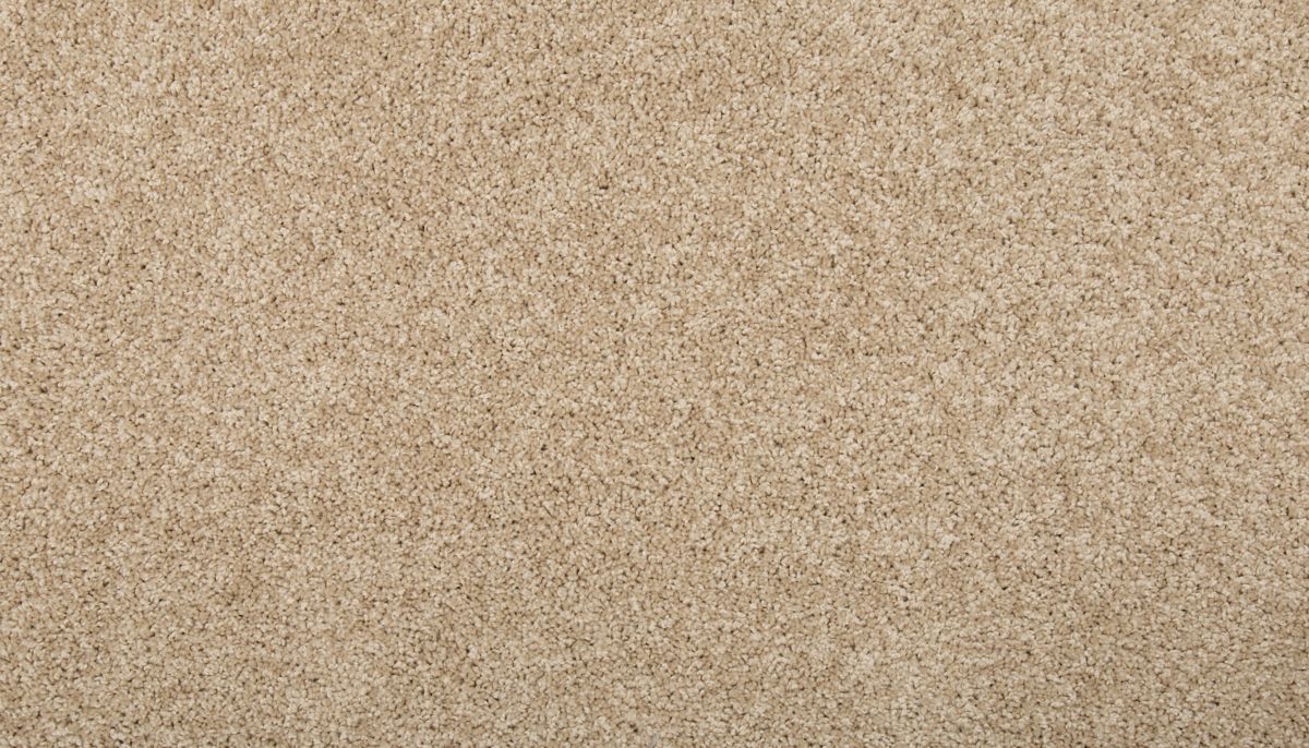 Renovate I carpet in Sugar Cookie