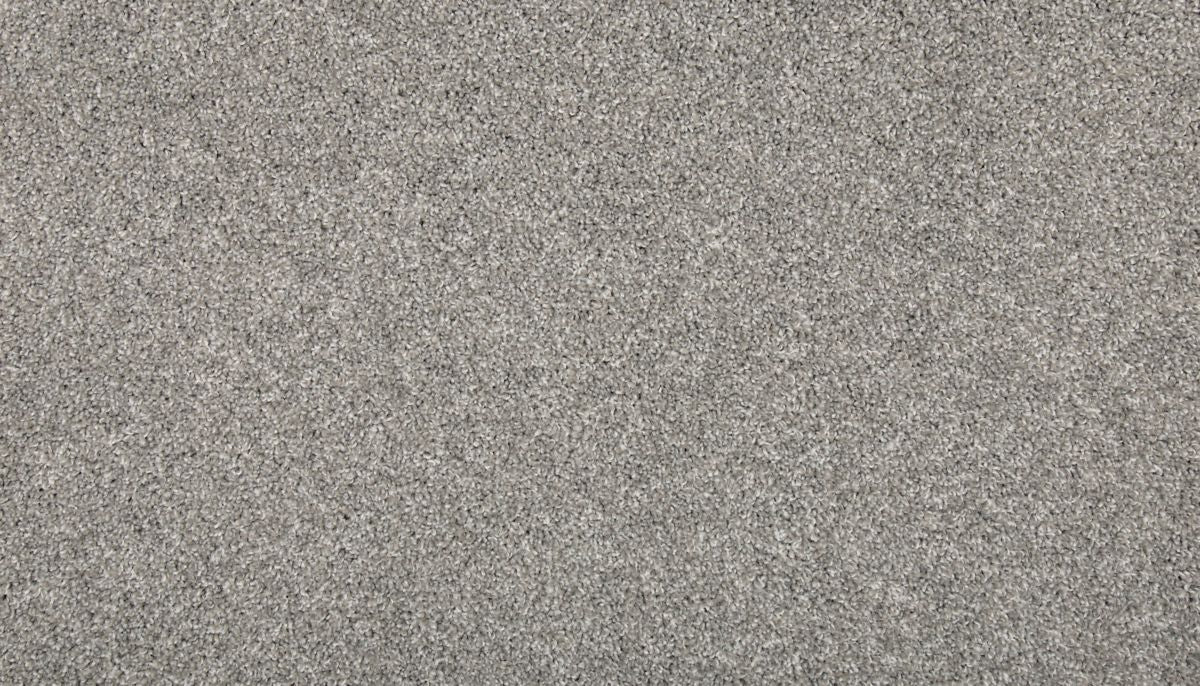 Revamped III carpet in Tarpley