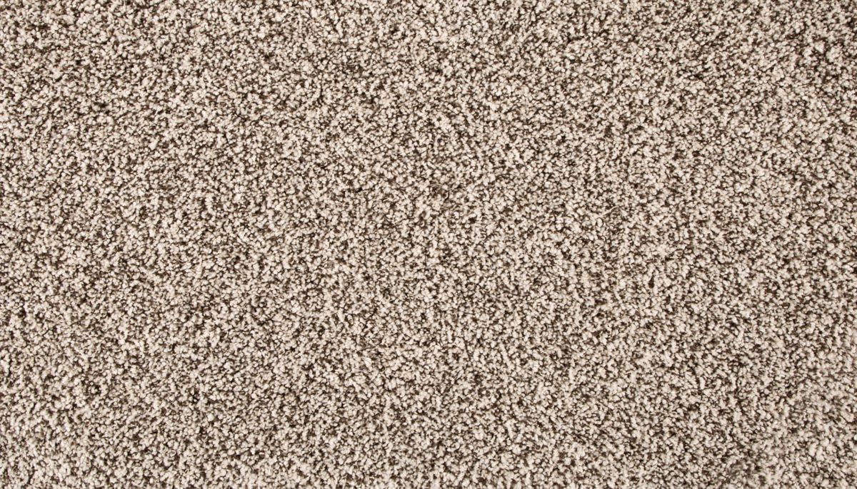 Renovate III carpet in Quiet Light