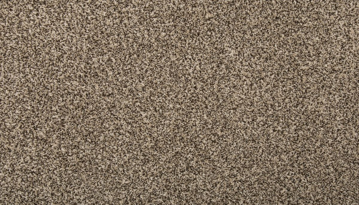 Remodeled III carpet in Nomad