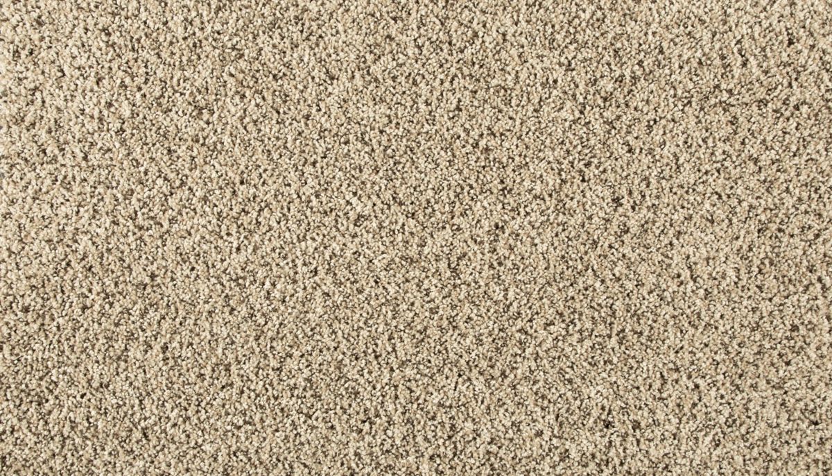 Revamped III carpet in Cross Country