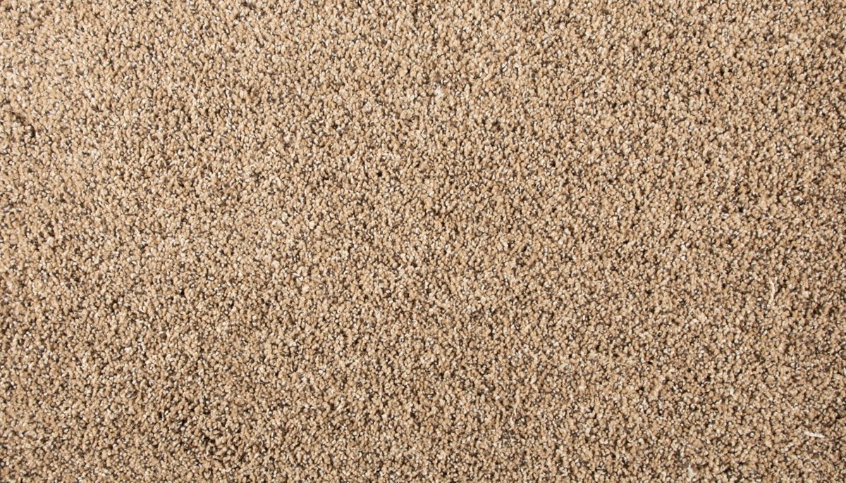 Renovate III carpet in Pretzel Twist