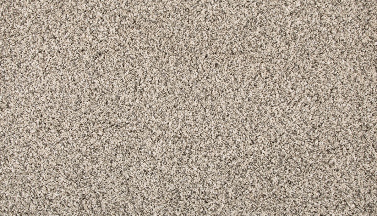 Remodeled III carpet in Silver Dollar