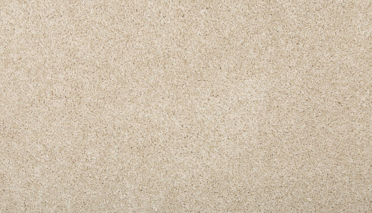 Remodeled III carpet in Linen Lace