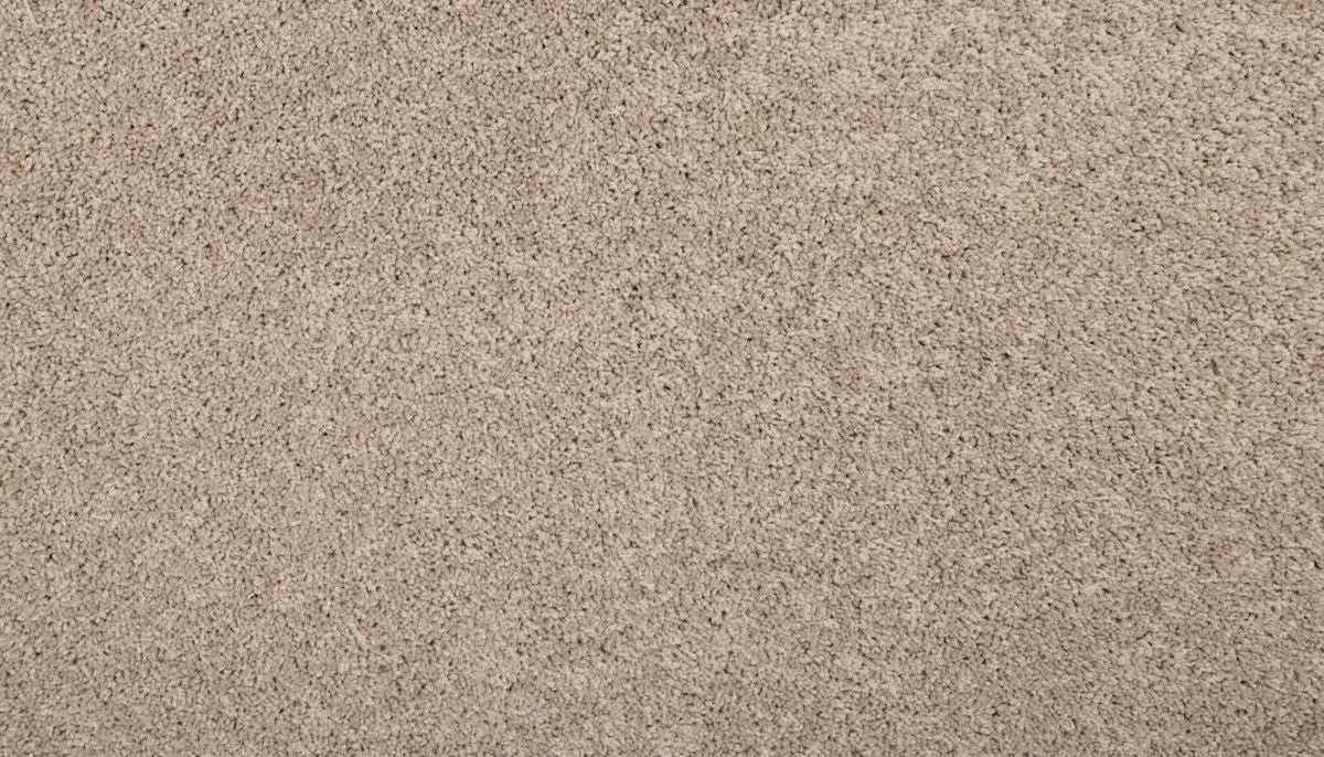 Revamped III carpet in Birdbath