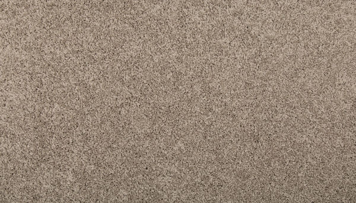 Revamped III carpet in Dock