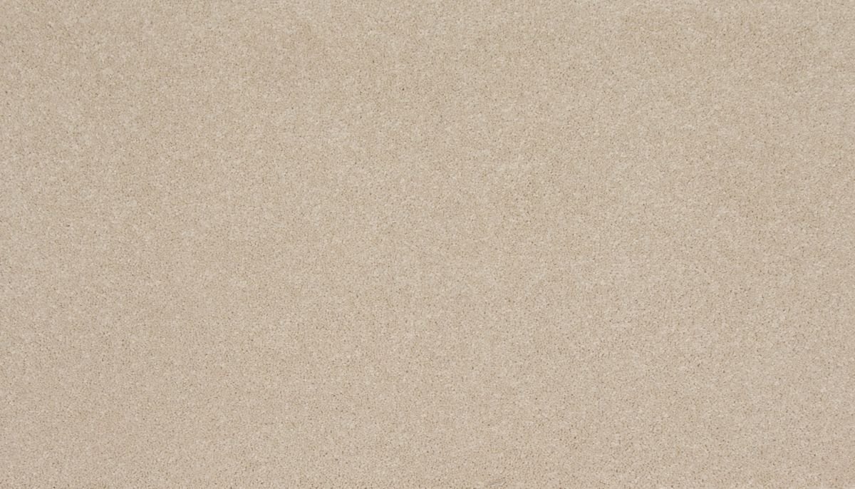 Delightful Saga II carpet in Ivory Mist